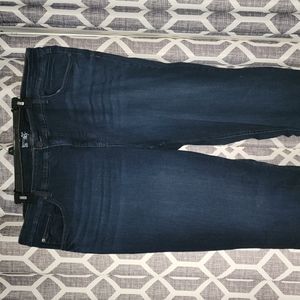 Terra & sky straight jeans 22w